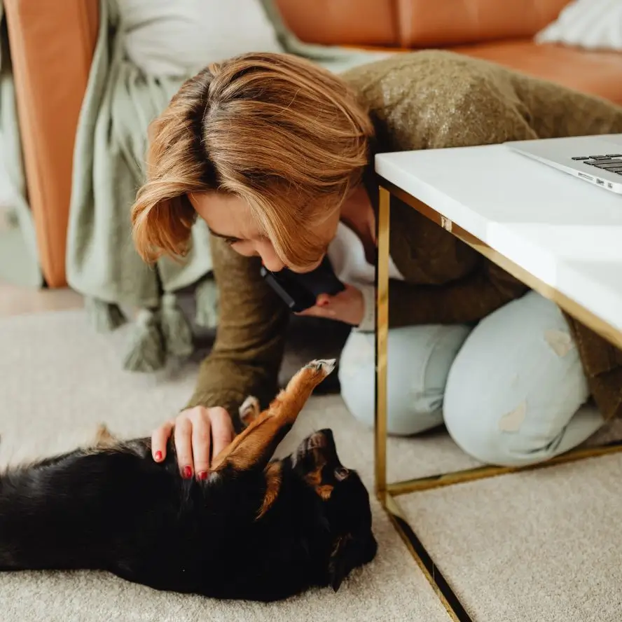 How Pet Protection Policies Are a Smart Advantage to Set Your Rental Property Apart